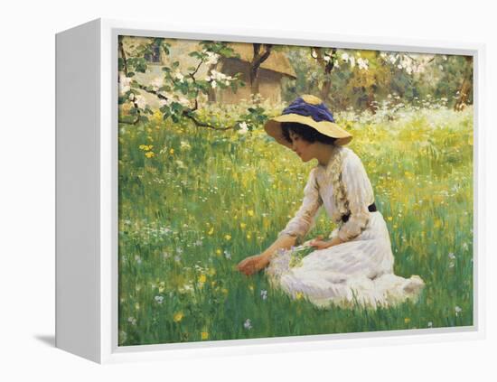 Flower Meadow-Arthur Hacker-Framed Premier Image Canvas