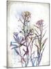 Flower Mist I-Ken Hurd-Mounted Giclee Print