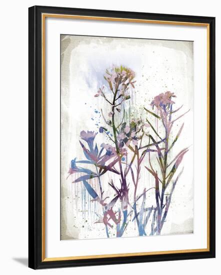 Flower Mist I-Ken Hurd-Framed Giclee Print