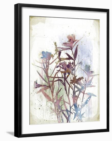 Flower Mist II-Ken Hurd-Framed Giclee Print