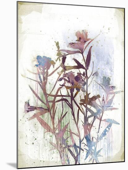 Flower Mist II-Ken Hurd-Mounted Giclee Print