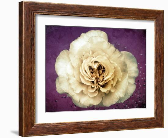 Flower of a White Rose, Texture, Birds, Composing-Alaya Gadeh-Framed Photographic Print