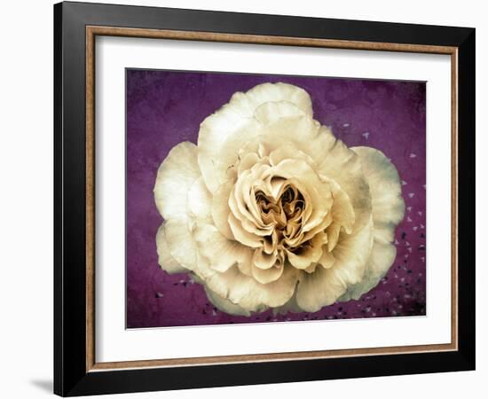 Flower of a White Rose, Texture, Birds, Composing-Alaya Gadeh-Framed Photographic Print