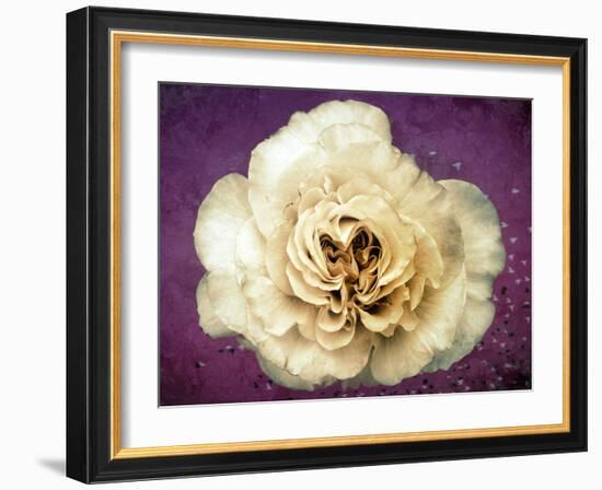 Flower of a White Rose, Texture, Birds, Composing-Alaya Gadeh-Framed Photographic Print