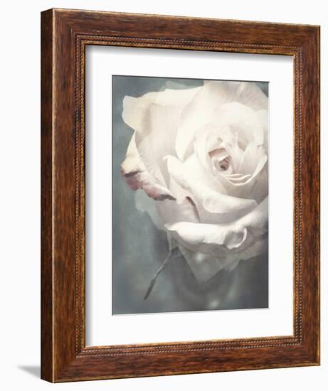 Flower of a White Rose, Texture, Composing-Alaya Gadeh-Framed Photographic Print