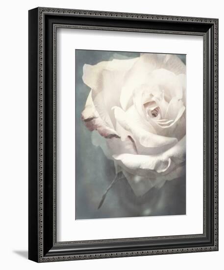 Flower of a White Rose, Texture, Composing-Alaya Gadeh-Framed Photographic Print