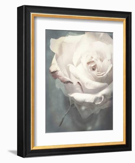 Flower of a White Rose, Texture, Composing-Alaya Gadeh-Framed Photographic Print