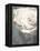 Flower of a White Rose, Texture, Composing-Alaya Gadeh-Framed Premier Image Canvas