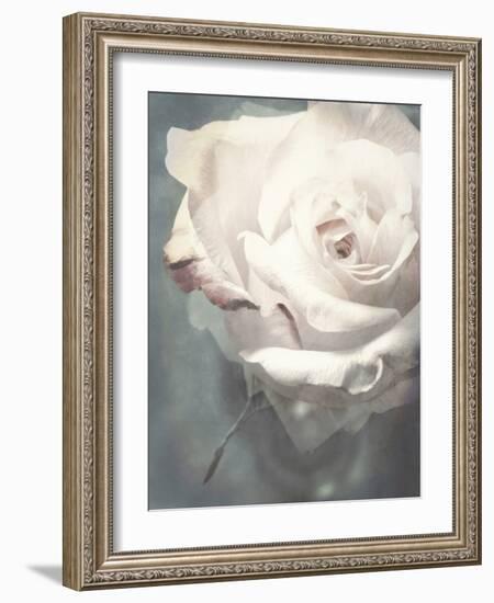 Flower of a White Rose, Texture, Composing-Alaya Gadeh-Framed Photographic Print