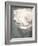 Flower of a White Rose, Texture, Composing-Alaya Gadeh-Framed Photographic Print