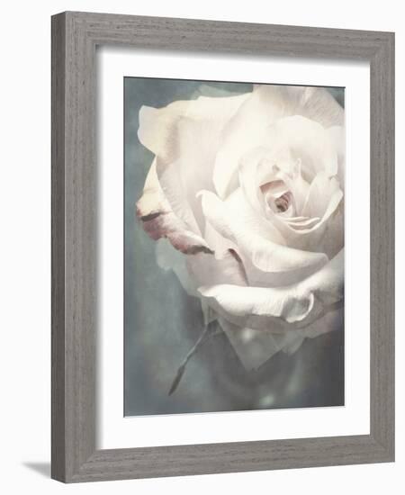 Flower of a White Rose, Texture, Composing-Alaya Gadeh-Framed Photographic Print