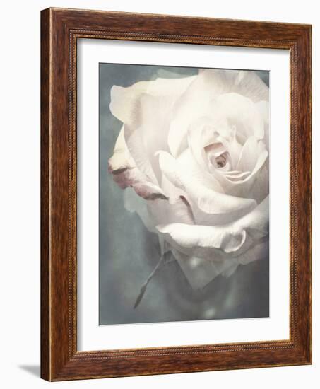 Flower of a White Rose, Texture, Composing-Alaya Gadeh-Framed Photographic Print