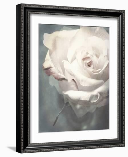 Flower of a White Rose, Texture, Composing-Alaya Gadeh-Framed Photographic Print