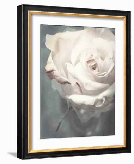 Flower of a White Rose, Texture, Composing-Alaya Gadeh-Framed Photographic Print