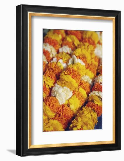 Flower Offerings at Temple, Kathmandu, Nepal, Asia-Ian Trower-Framed Photographic Print