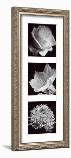 Flower Panel I-Bill Philip-Framed Giclee Print