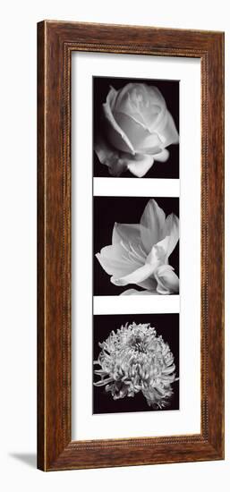 Flower Panel I-Bill Philip-Framed Giclee Print