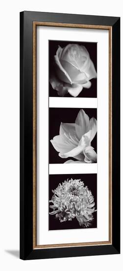 Flower Panel I-Bill Philip-Framed Giclee Print