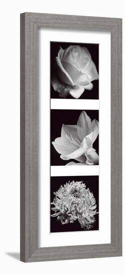 Flower Panel I-Bill Philip-Framed Giclee Print