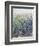 Flower Patch-Tim O'toole-Framed Giclee Print