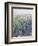 Flower Patch-Tim O'toole-Framed Giclee Print