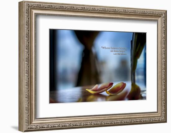 Flower petals on a counter top with Lady Bird Johnson Quote-null-Framed Photo