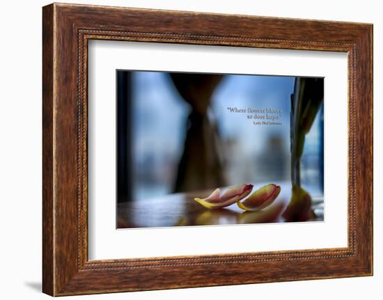 Flower petals on a counter top with Lady Bird Johnson Quote-null-Framed Photo