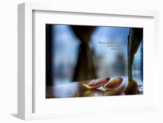 Flower petals on a counter top with Lady Bird Johnson Quote-null-Framed Photo