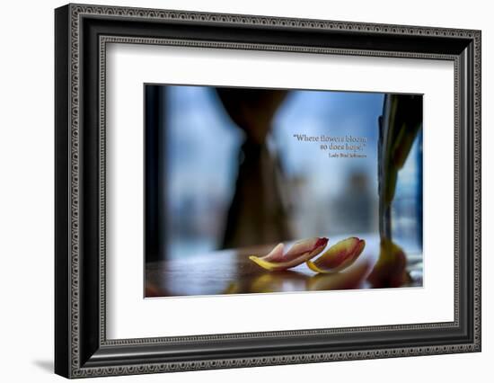 Flower petals on a counter top with Lady Bird Johnson Quote-null-Framed Photo