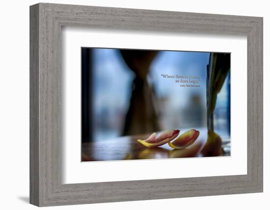 Flower petals on a counter top with Lady Bird Johnson Quote-null-Framed Photographic Print