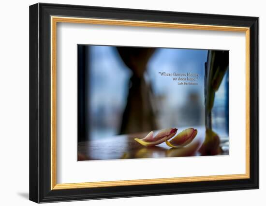 Flower petals on a counter top with Lady Bird Johnson Quote-null-Framed Photographic Print