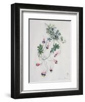 Flower Pieces-Marie-Anne-Framed Giclee Print