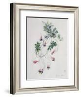 Flower Pieces-Marie-Anne-Framed Giclee Print