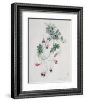 Flower Pieces-Marie-Anne-Framed Giclee Print