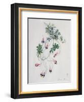 Flower Pieces-Marie-Anne-Framed Giclee Print