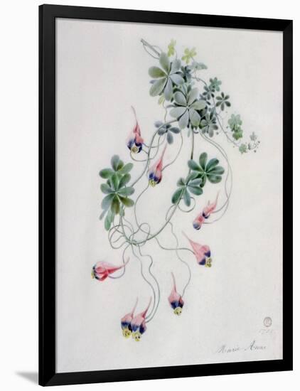 Flower Pieces-Marie-Anne-Framed Giclee Print