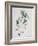 Flower Pieces-Marie-Anne-Framed Giclee Print