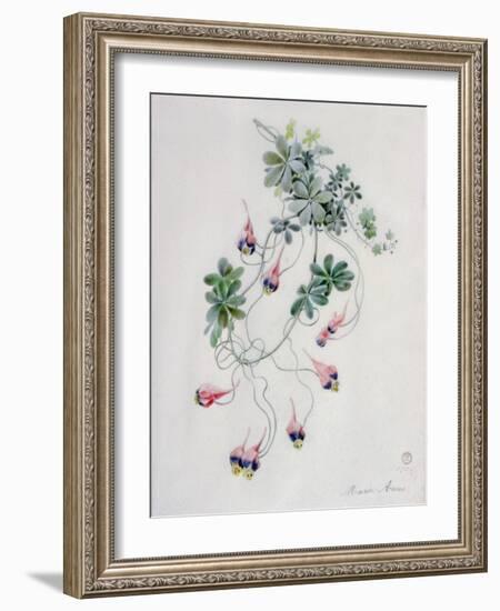 Flower Pieces-Marie-Anne-Framed Giclee Print