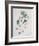 Flower Pieces-Marie-Anne-Framed Giclee Print