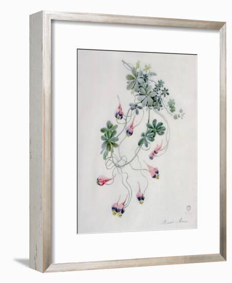 Flower Pieces-Marie-Anne-Framed Giclee Print