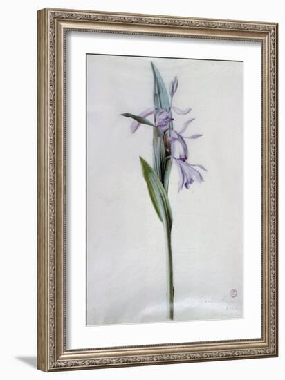 Flower Pieces-Marie-Anne-Framed Giclee Print