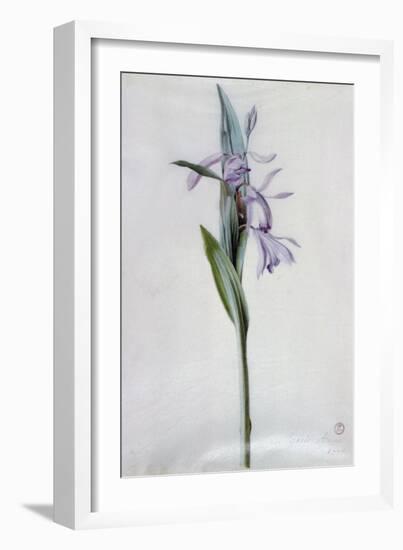 Flower Pieces-Marie-Anne-Framed Giclee Print