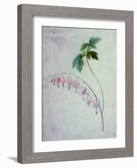 Flower Pieces-Marie-Anne-Framed Giclee Print