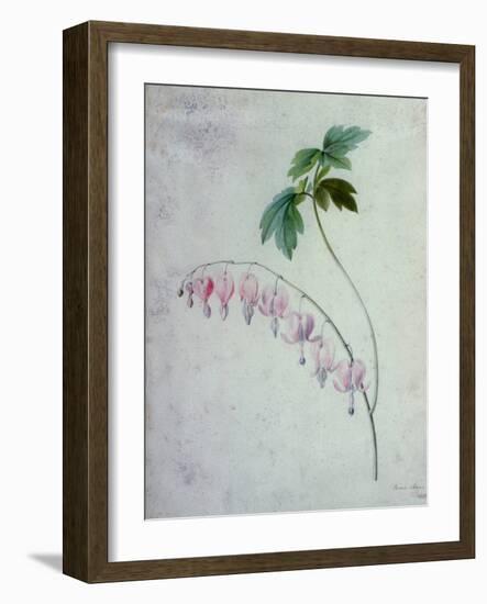 Flower Pieces-Marie-Anne-Framed Giclee Print