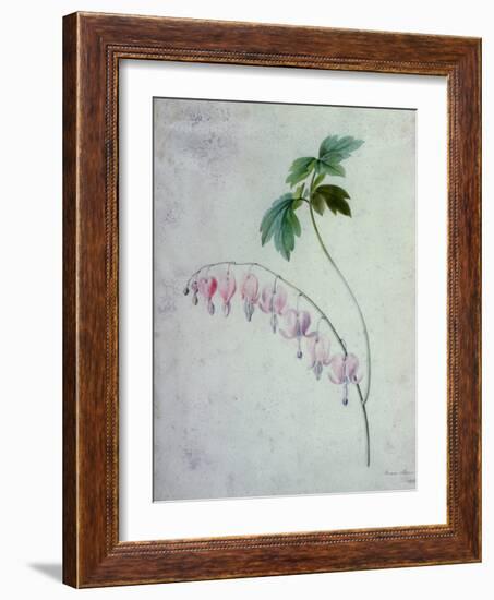 Flower Pieces-Marie-Anne-Framed Giclee Print