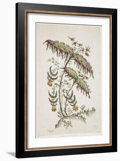 Flower Plate. Chinoiserie-Jean Baptiste Pillement-Framed Giclee Print