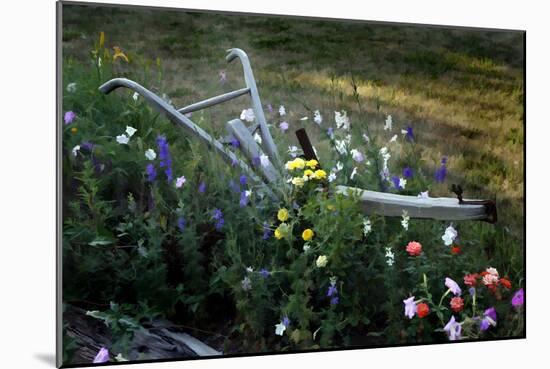 Flower Plow-J.D. Mcfarlan-Mounted Photographic Print