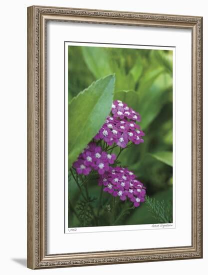 Flower Pool Garden-Stacy Bass-Framed Giclee Print