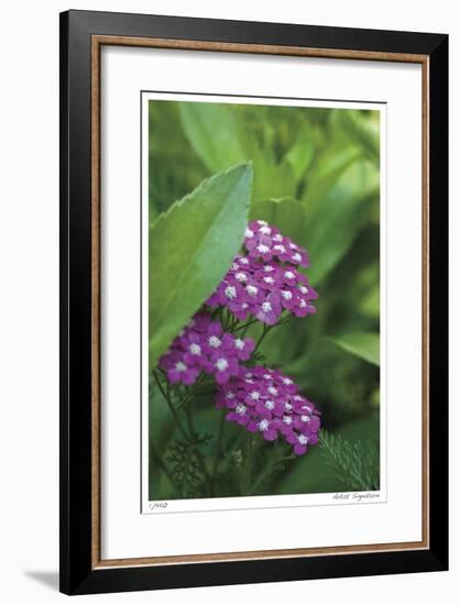 Flower Pool Garden-Stacy Bass-Framed Giclee Print