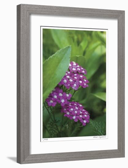 Flower Pool Garden-Stacy Bass-Framed Giclee Print